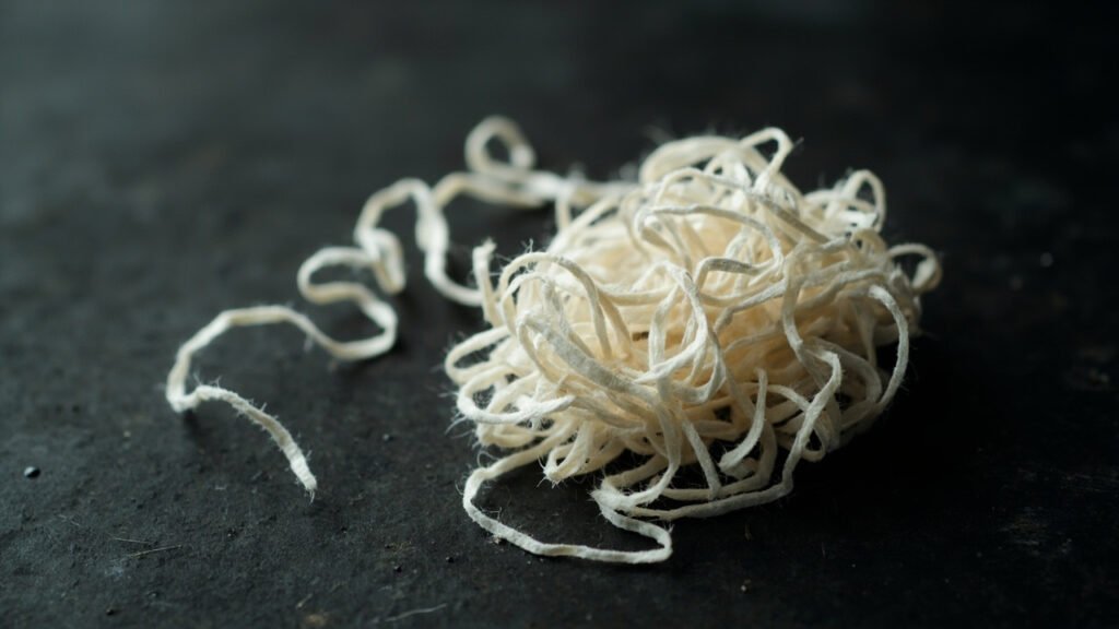 Fibres brutes de coton en gros plan, rubans torsadés