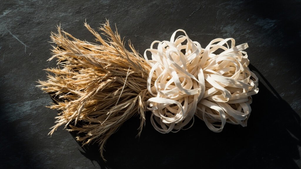 Fibres brutes de lin doré et coton crème, lumière rasante.