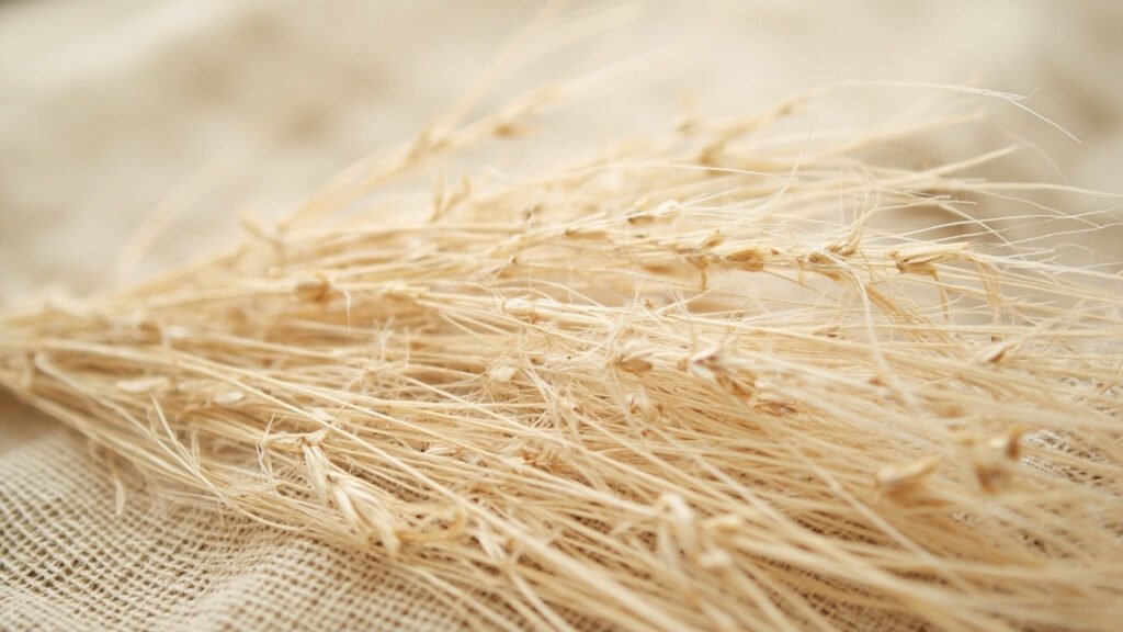 Fibres de lin brutes torsadées, gros plan beige naturel.