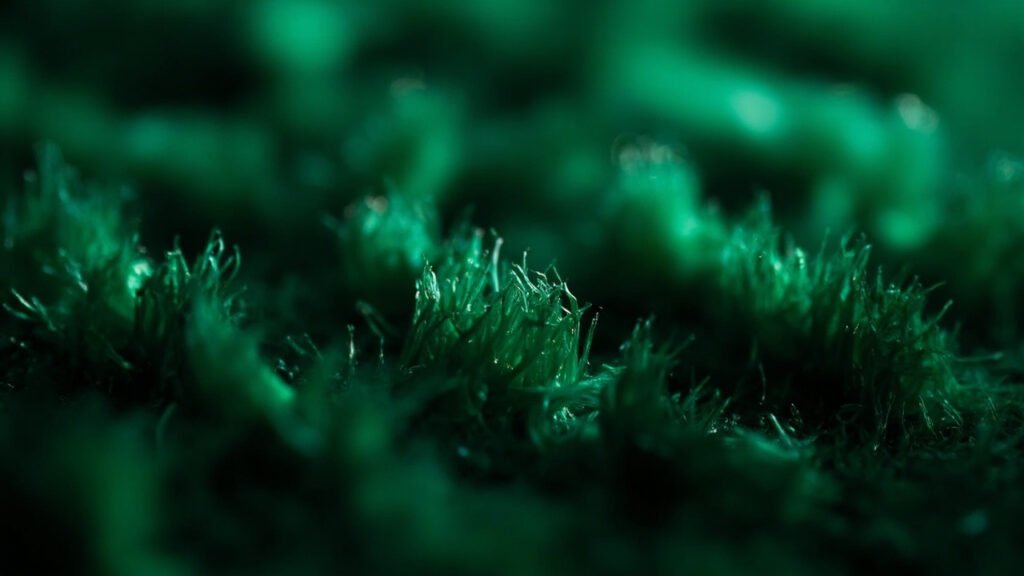Macro velours émeraude dense, lumière sur les fibres