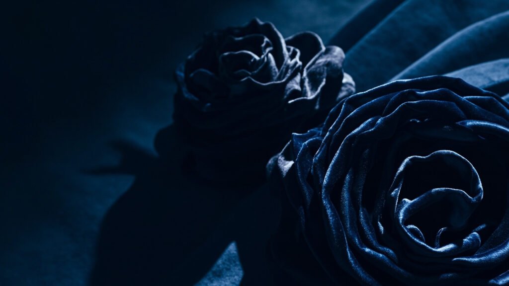 Velours bleu nuit plissé en rosaces sculpturales profondes.