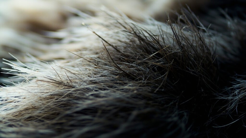 Vue microscopique de fibres de velours orientées différemment.