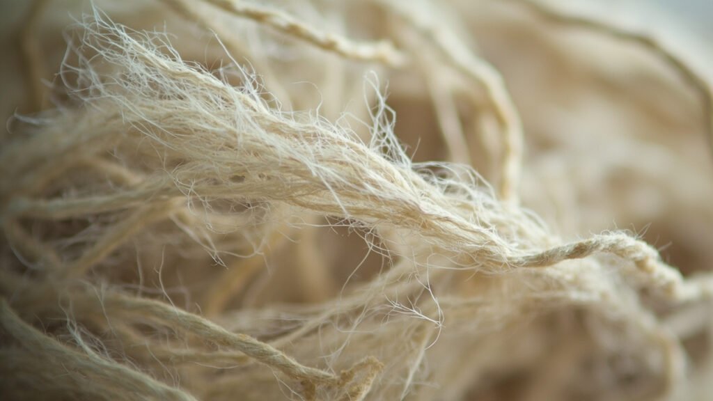 Fibre de lin intacte versus fibre fragilisée