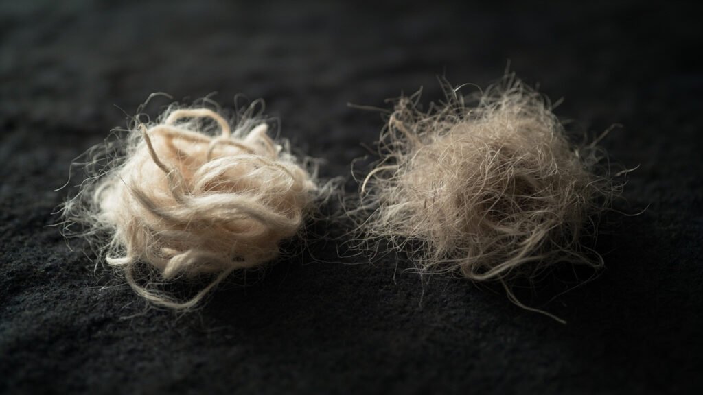 Fibres de cachemire et laine fine au microscope