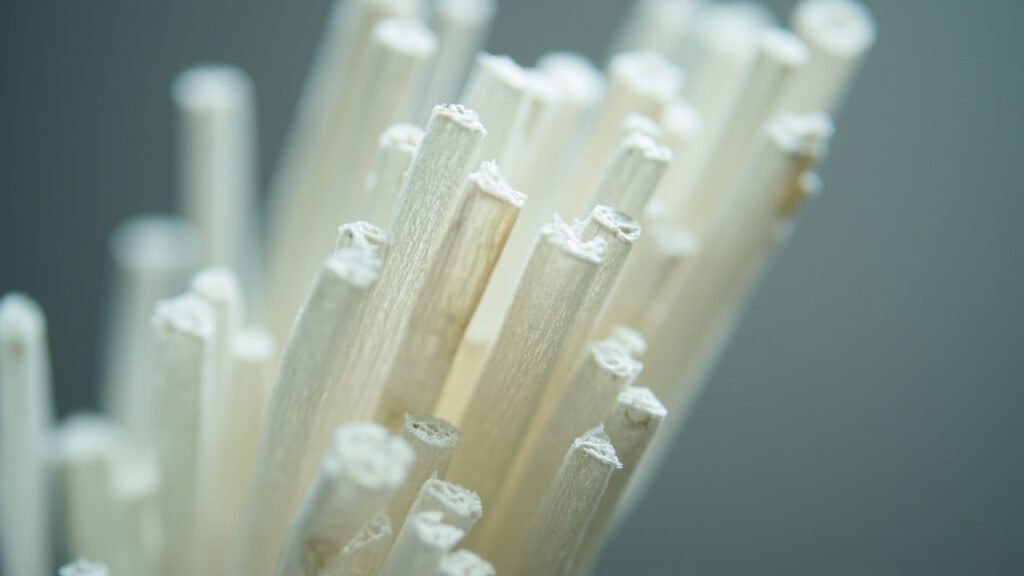 Fibres de soie observées au microscope optique, structure lisse et translucide