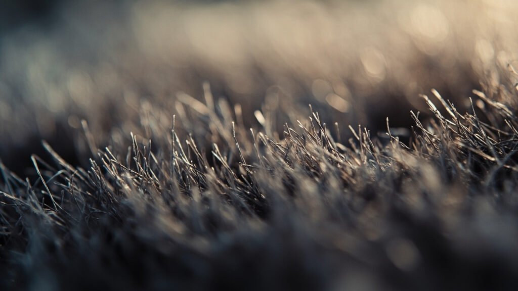 Macro des fibres dressées du velours et son reflet moiré