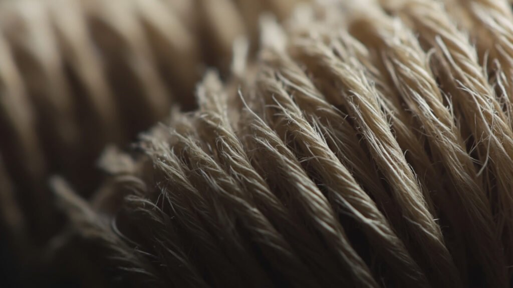 Macro velours, fibres dressées et denses