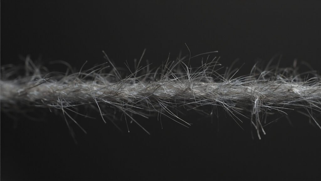 Vue microscopique d'une fibre de cachemire révélant ses écailles