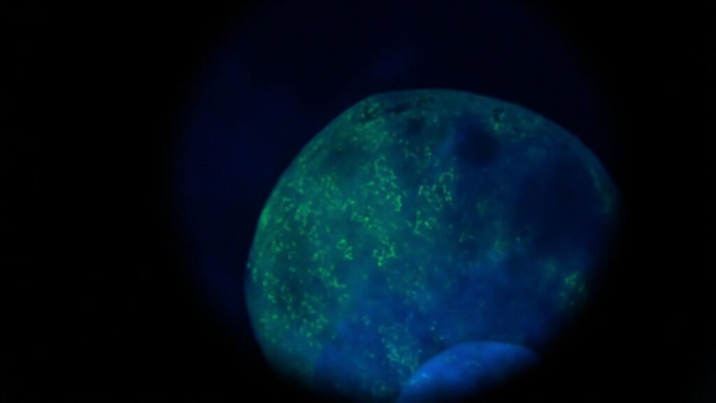 Vue phosphorescence UV d'un diamant synthétique révélant ses structures de croissance