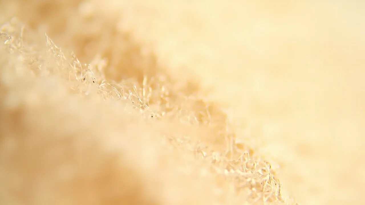 Macrophotographie du tissage satin de coton, fils flottants parallèles et surface lumineuse